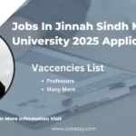 Jobs In Jinnah Sindh Medical University 2025 Application Form