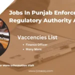 Jobs In Punjab Enforcement And Regulatory Authority Apply Online